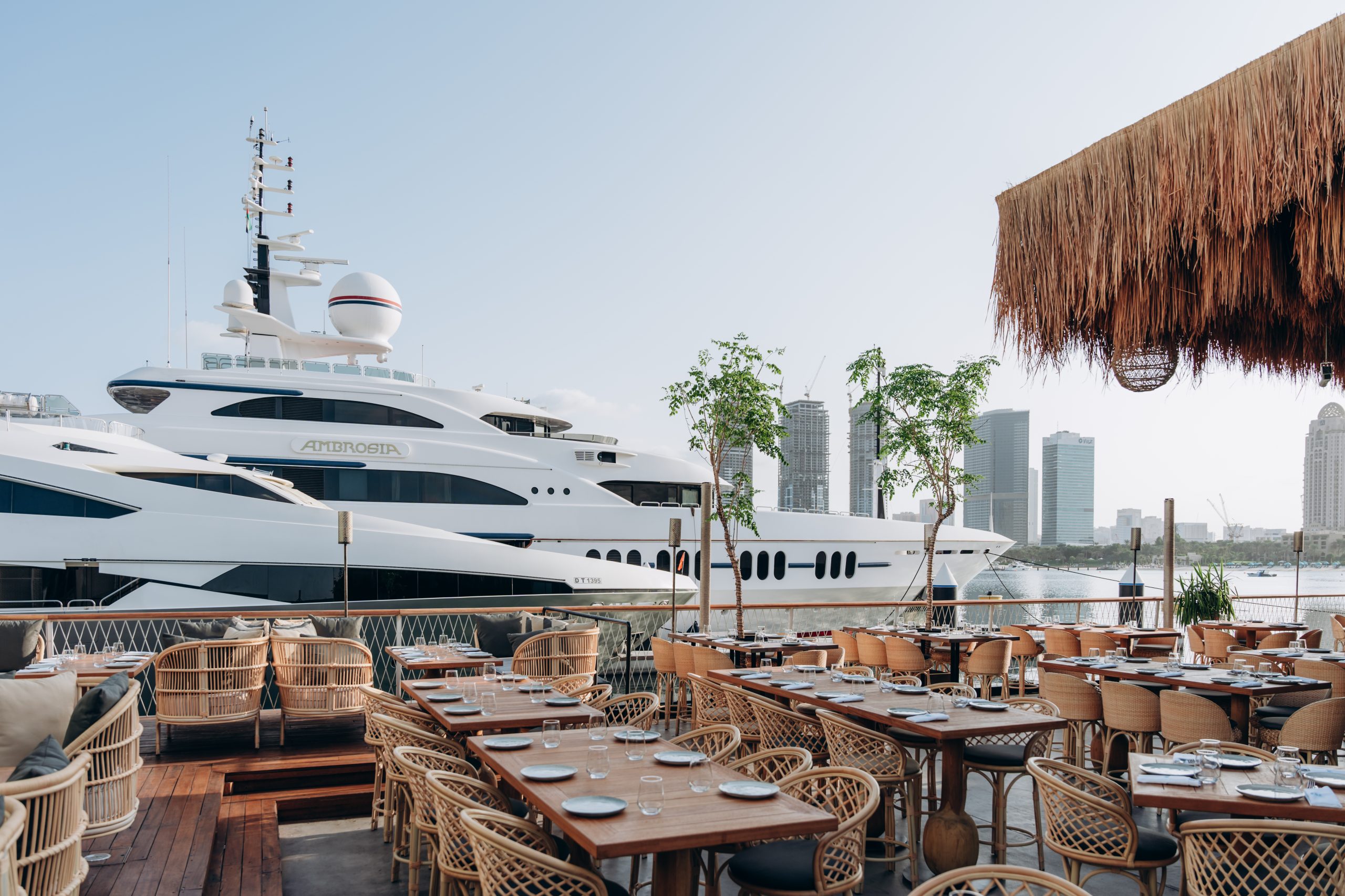 Copy of Copy of Copy of USE ME